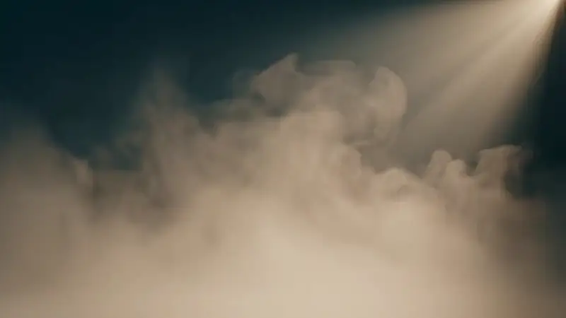 Still from the video “Auswahl”